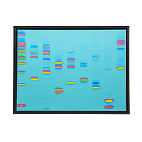 DNA art print gift for guys who have everything